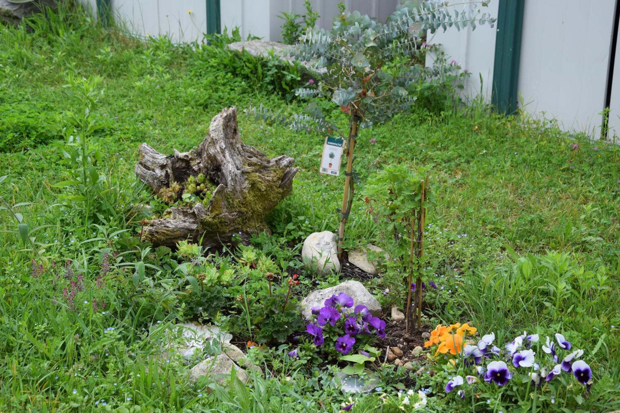 Evasion Campagnarde Avec Jardin Et Parking, Proche De Eurexpo Et Groupamastadium