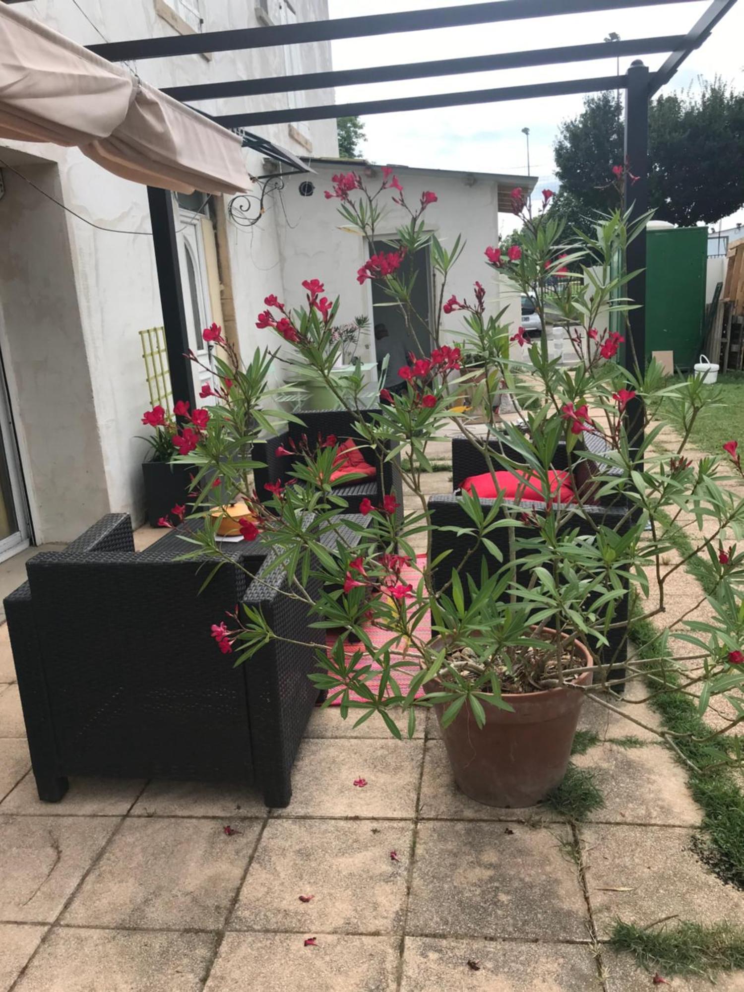 Evasion Campagnarde Avec Jardin Et Parking, Proche De Eurexpo Et Groupamastadium * Saint-Priest (Rhone)